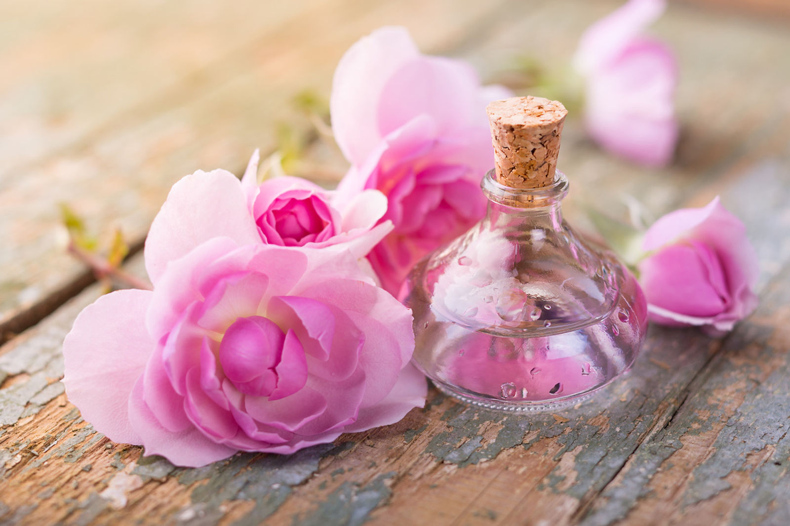AdobeStock_104213889.jpeg