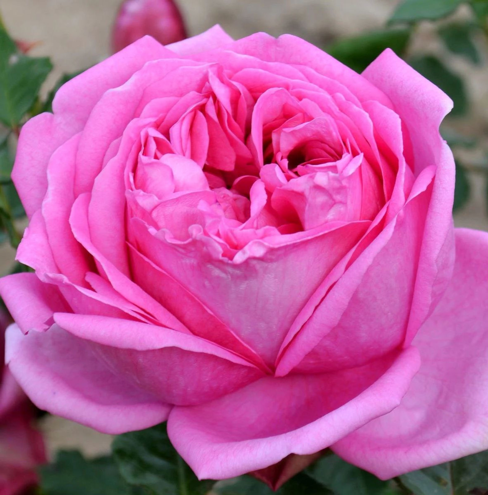telegram-photo-0-5188686764540279292_edited.jpg